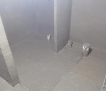 期堆集还可能激发墙体发霉、布局损坏等现患？